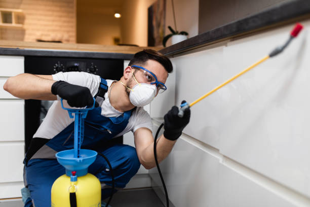 Best Wildlife Control Services  in Somerset, OH