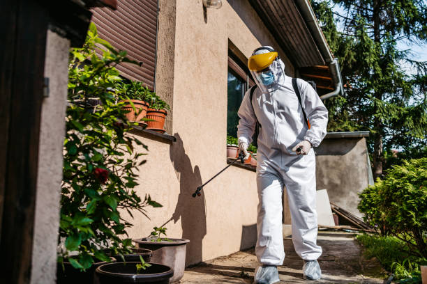 Best Emergency Pest Control  in Somerset, OH
