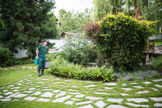 Wildlife Control Services in Somerset, OH