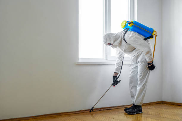 Best Wildlife Control Services  in Somerset, OH