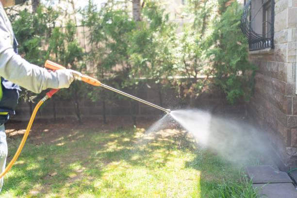 Best Mosquito Control Services  in Somerset, OH