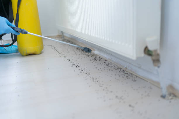 Best Commercial Pest Control Services  in Somerset, OH