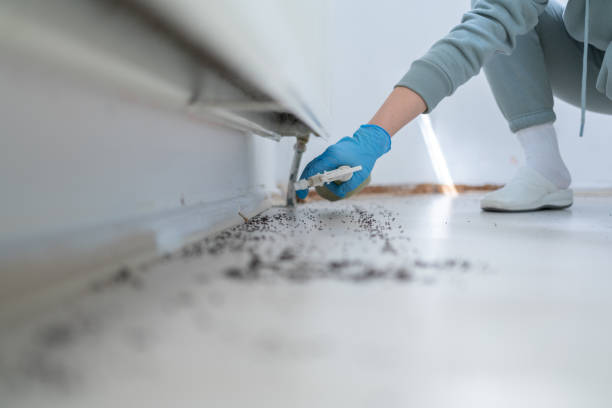 Reliable Somerset, OH Pest Control Solutions